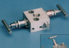 Direct Mounting 2 Valve